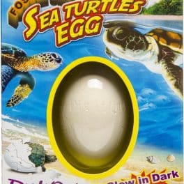 LG-Imports fossielei schildpad glow in the dark 3-delig