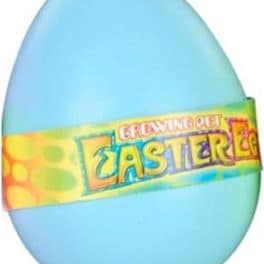 Toys Amsterdam Magisch Ei Hatching Egg Junior 6 Cm Blauw