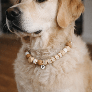 Hondenketting met naam anti teek taupe