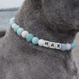 Hondenketting met naam anti teek aqua