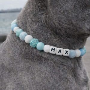 Hondenketting met naam anti teek aqua