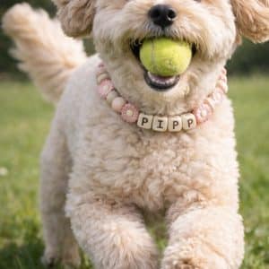 Hondenketting met naam anti teek zalmroze