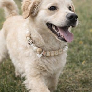 Hondenketting met naam anti teek flower