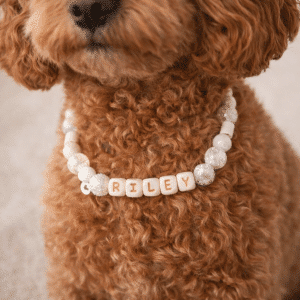 Hondenketting met naam anti teek