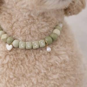 Hondenketting met naam anti teek groen