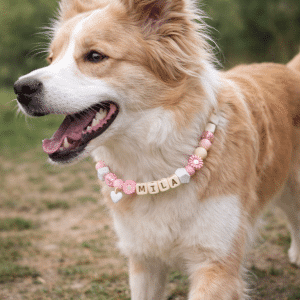 Hondenketting met naam anti teek roze