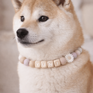 Hondenketting met naam anti teek lila